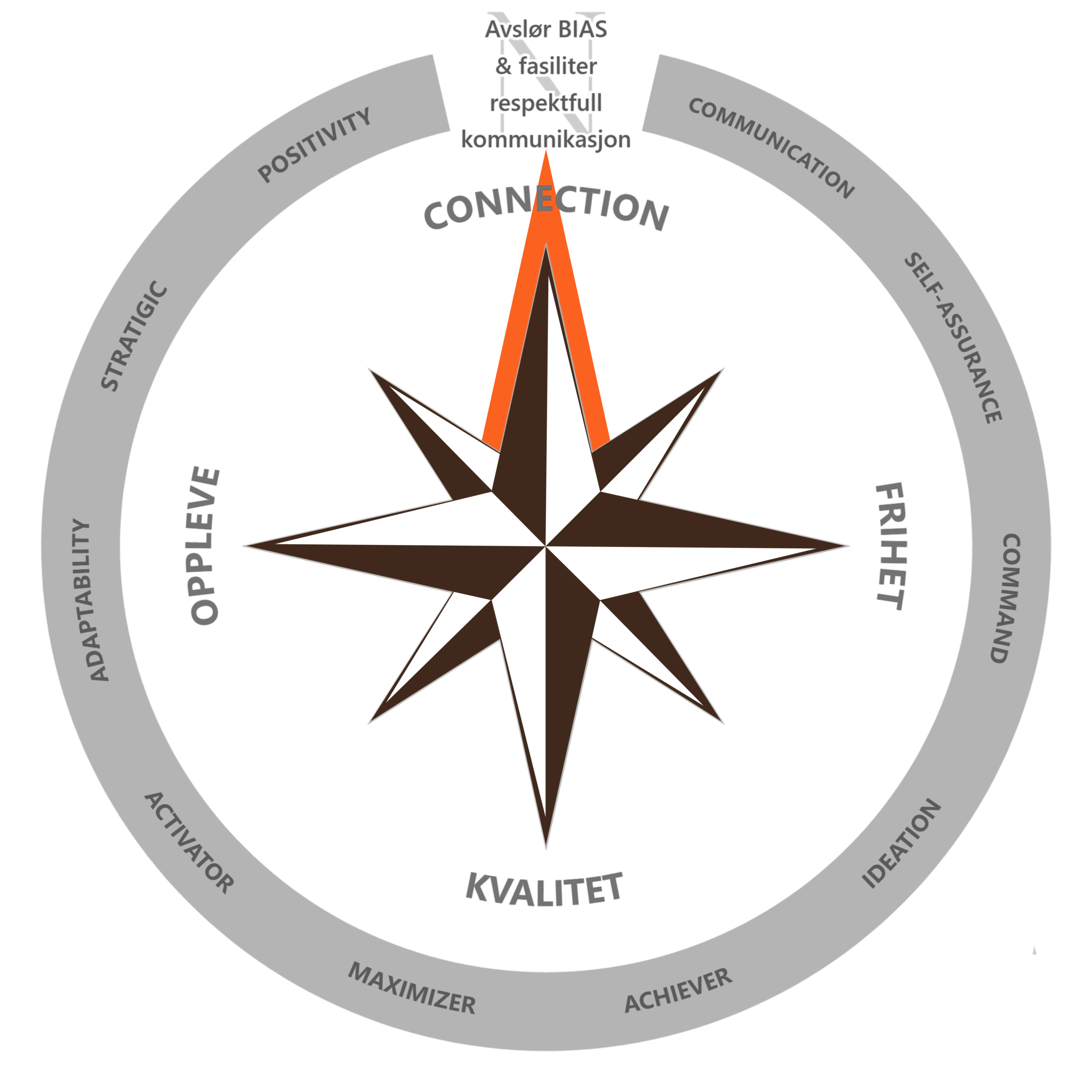 TNG Consulting - kompass